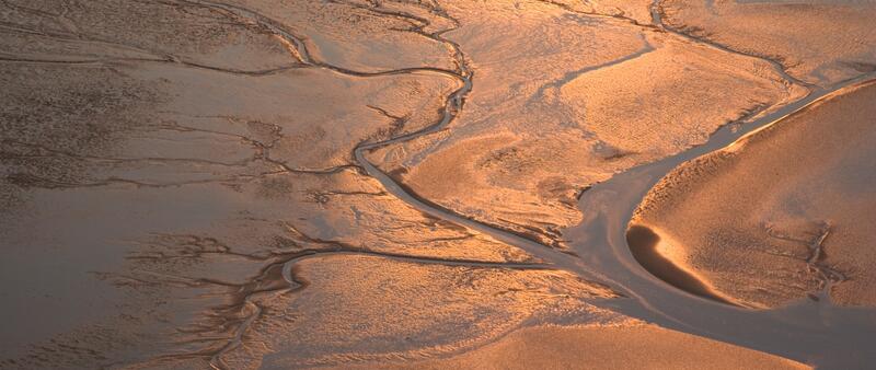 Aerial image of tidal flat creek and mudflats in red sunlight. © Martin Stock.