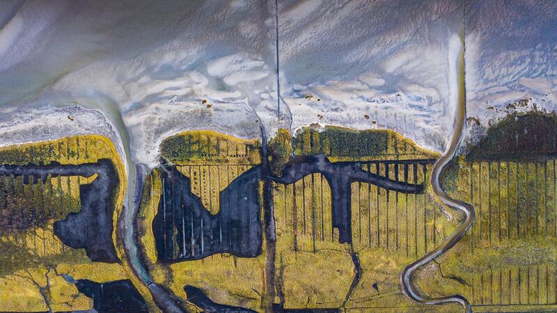 Salt marshes from above. © Janis Meyer/ Waddenagenda.